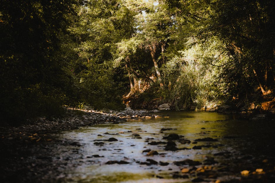 Gently down the&nbsp;stream